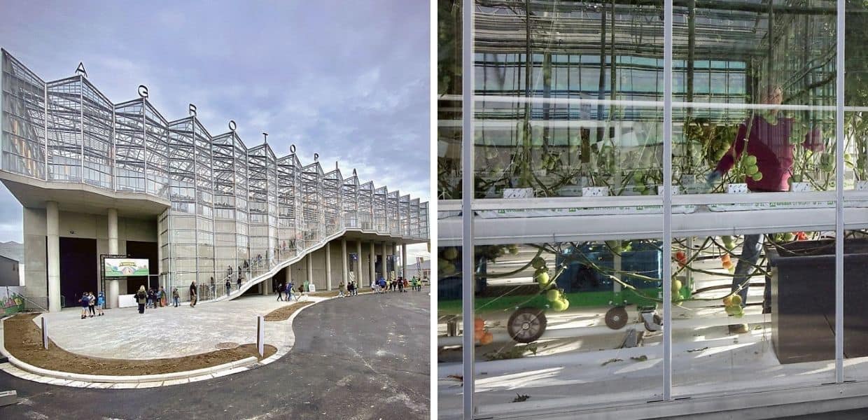 In Belgio è nata la serra-edificio più grande d'Europa, misura 9500 metri quadrati