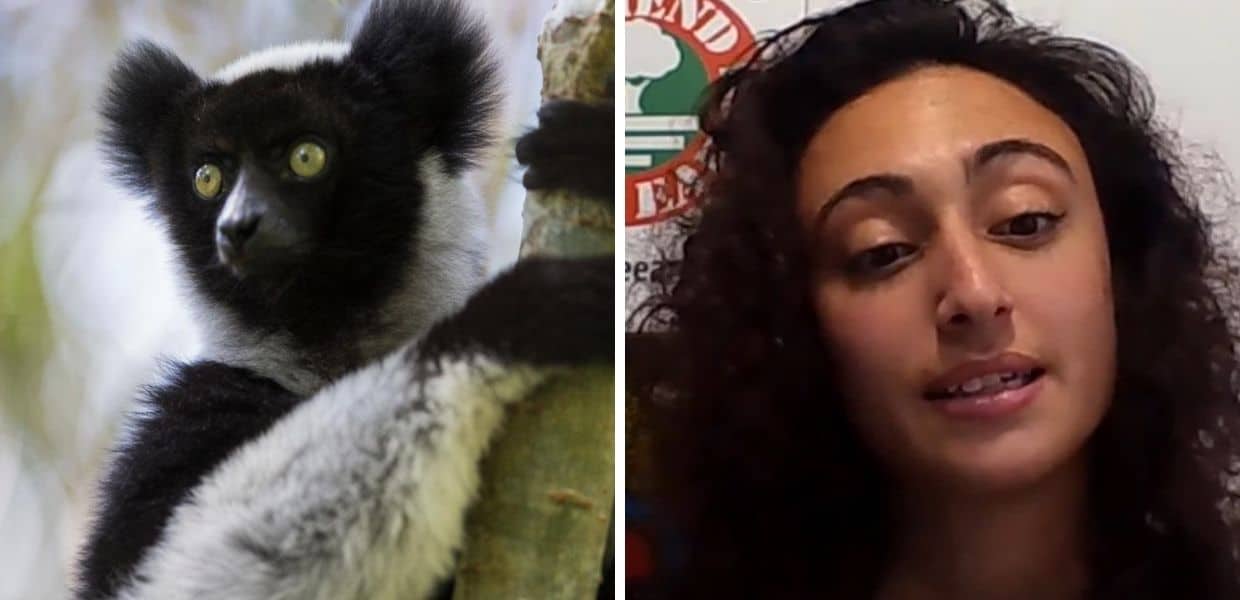 canti dei lemuri del madagascar