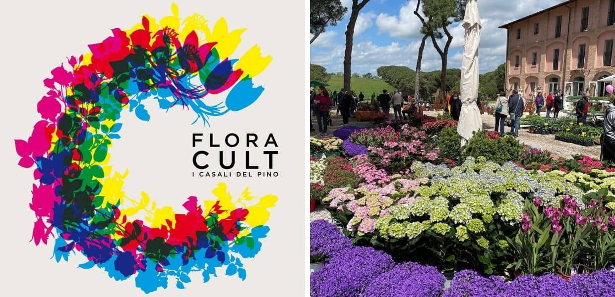 floracult roma