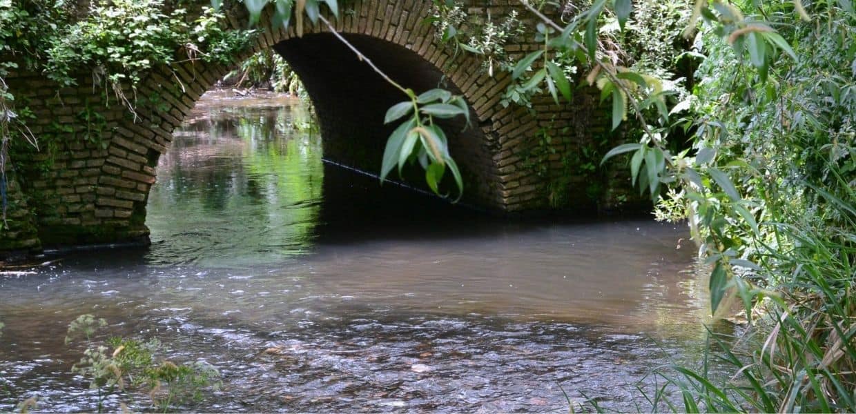 roma batteri fecali fiume almone