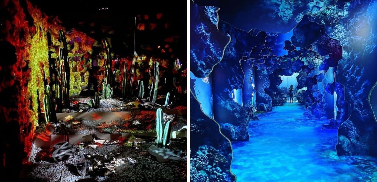 arcadia earth natura clima realta aumentata