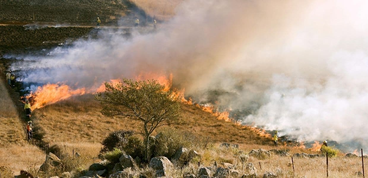 Sardegna, a giugno parte la "Campagna antincendio boschivo 2022"