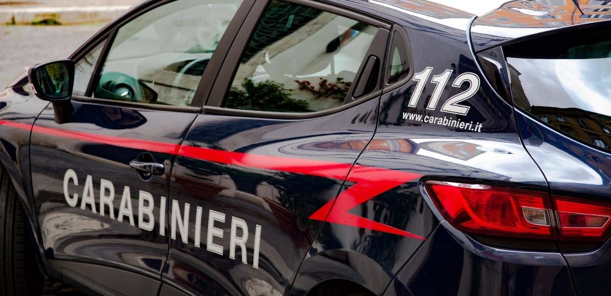 Compra coccodrillo imbalsamato: denunciato