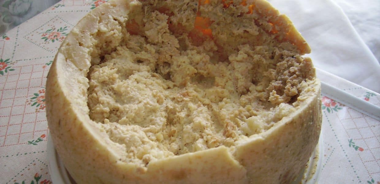 casu marzu formaggio sardo cnn