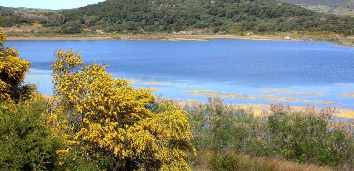 Lago di Baratz, unico bacino naturale della Sardegna ed esempio di riqualificazione ambientale