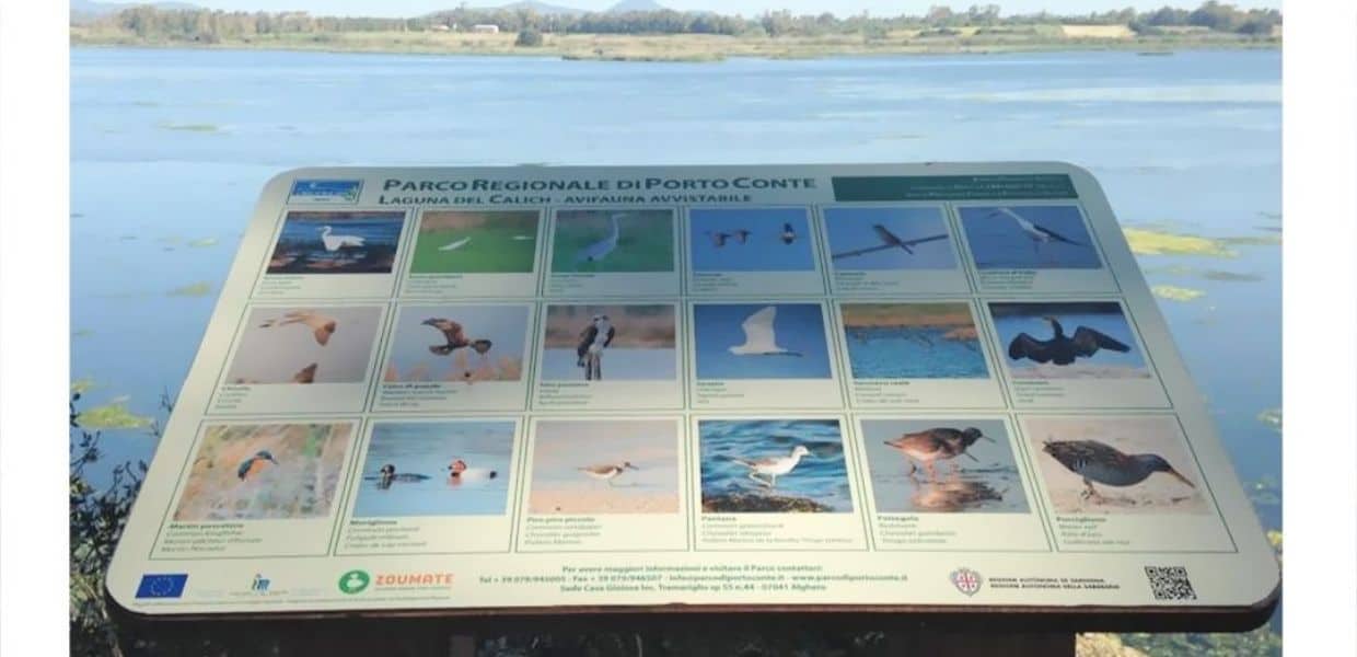 Alghero, la laguna del Calich fonte di reddito per la comunità locale