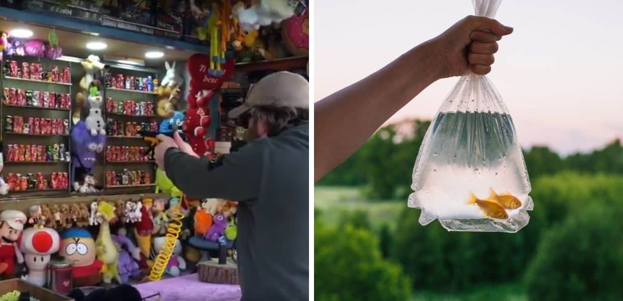 veneto dice basta animali come premi sagre di paese