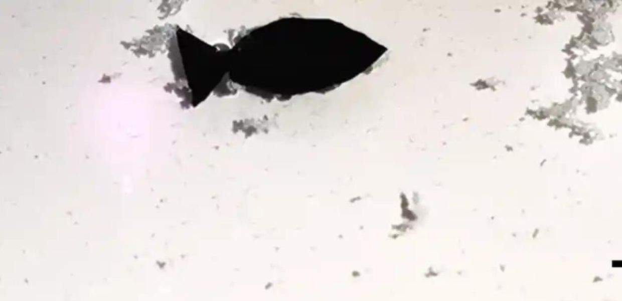 pesce robot microplastiche mare