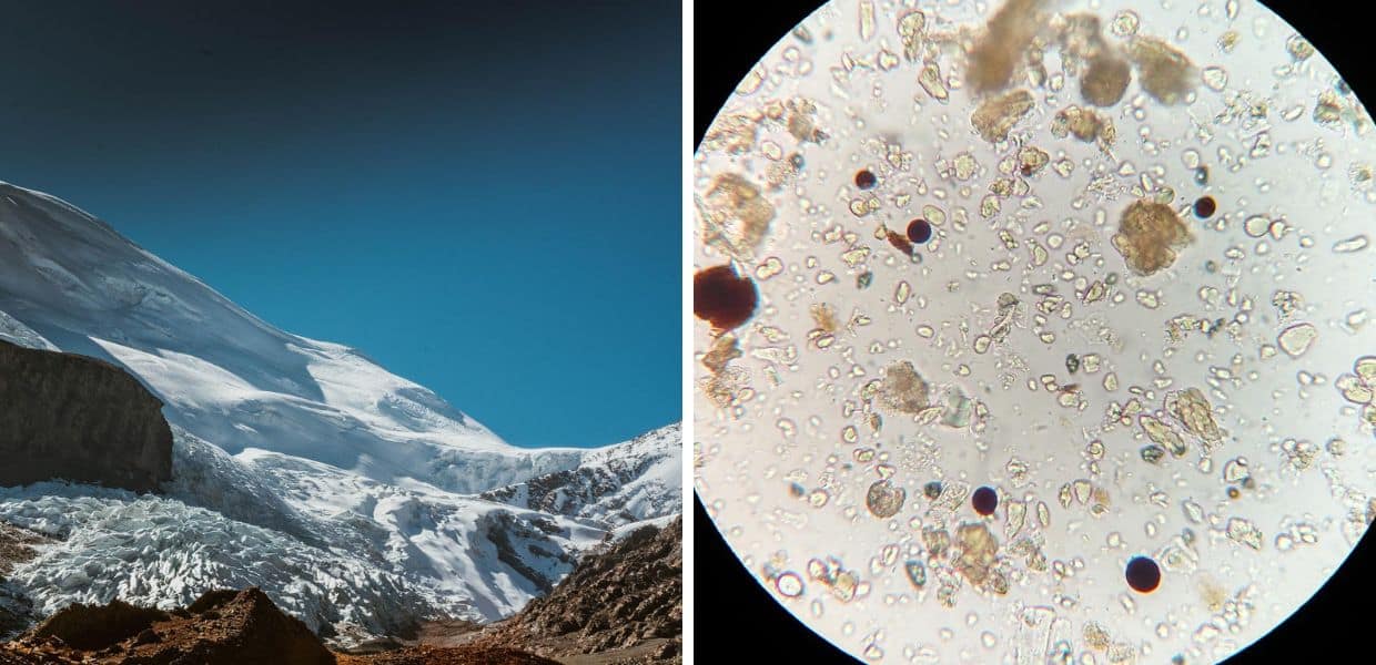 batteri ghiacciai tibet pericolo epidemia