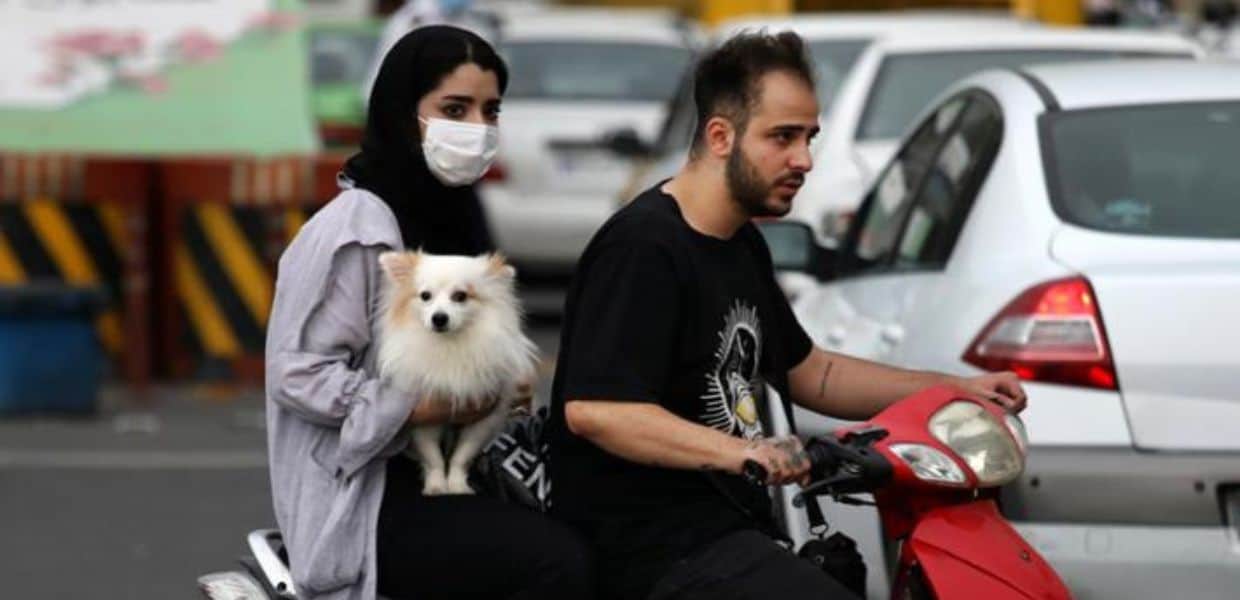 cani vietati in iran