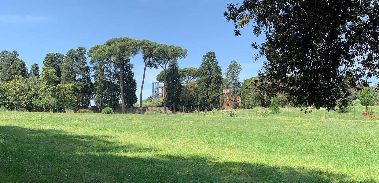 roma pini abbattuti villa pamphilj