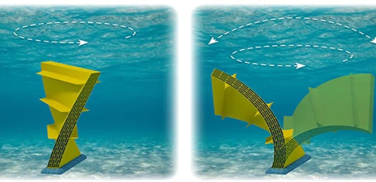 energia pulita dal mare muri elastici