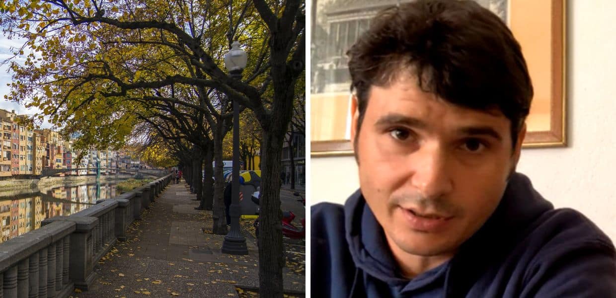 Ecco quali sono gli alberi più adatti alla piantagione in città. La video-intervista