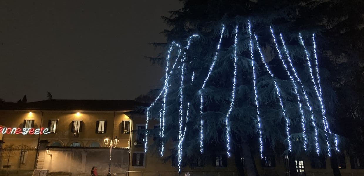 A Cologno Monzese c'è l'albero di Natale più brutto del mondo