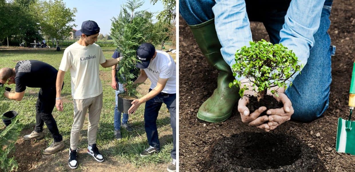 Arriva la "Tree-shirt" per piantare alberi in Guatemala