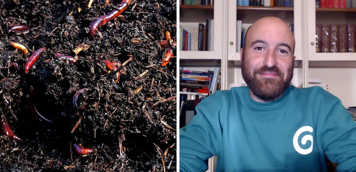 Greenta, ecco come i lombrichi combattono i cambiamenti climatici