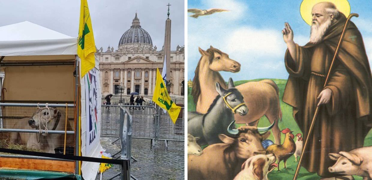 Oggi è la Festa di Sant'Antonio Abate, patrono degli animali