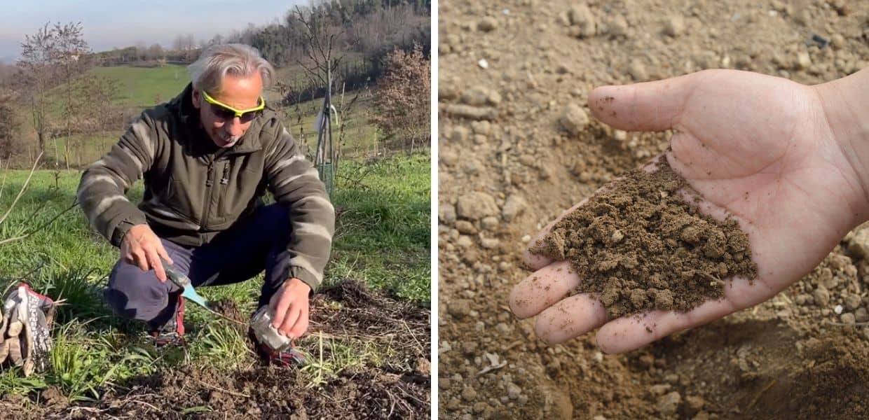 Natura, Giovanni Storti: "Ecco perché dobbiamo tutelare il suolo"