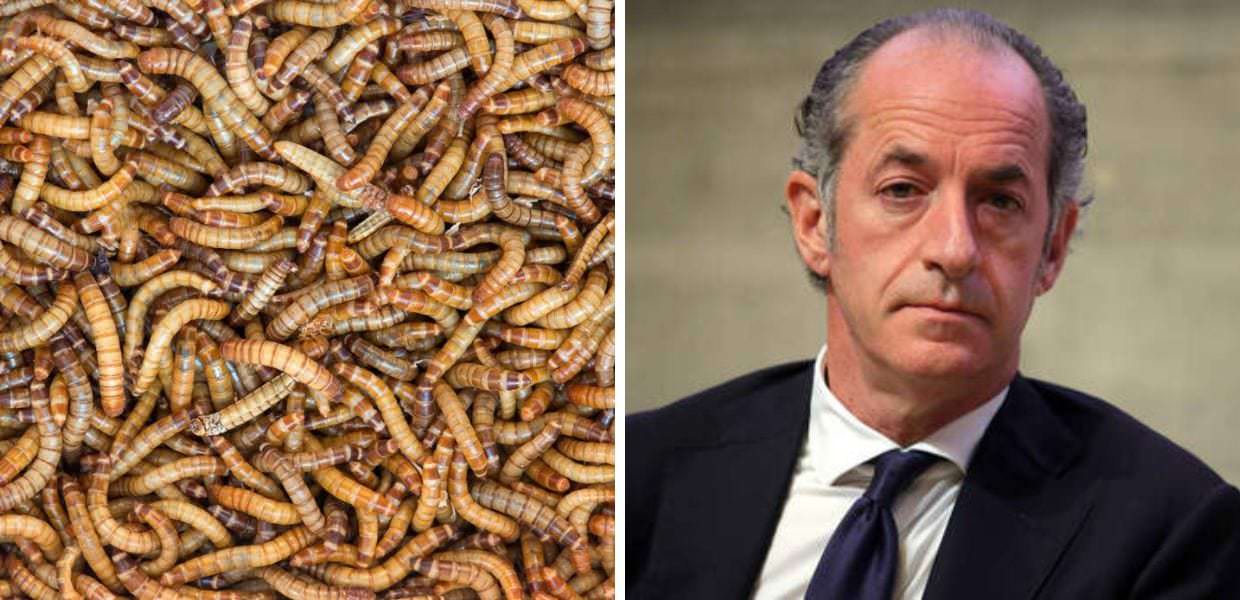 Veneto, Luca Zaia: "Mangiare insetti? Le solite pu**anate che dice l'Europa"