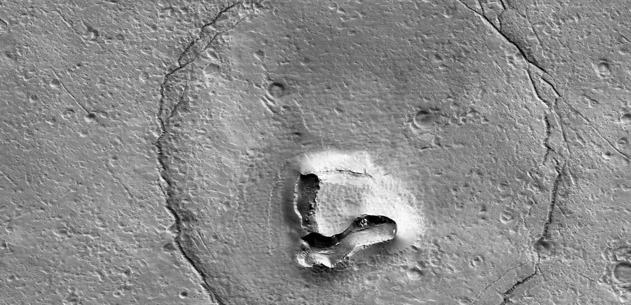 Spazio, c'è un "orso" su Marte. E la foto conquista il web