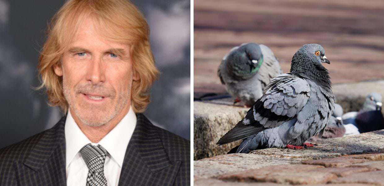 Cinema, Michael Bay a processo per maltrattamento di piccioni