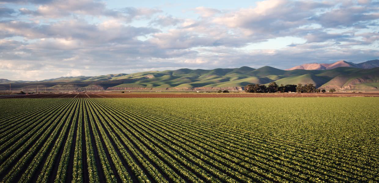 Accordo tra IILA e F.Agr.I per valorizzare i prodotti della filiera agricola latinoamericana in Italia