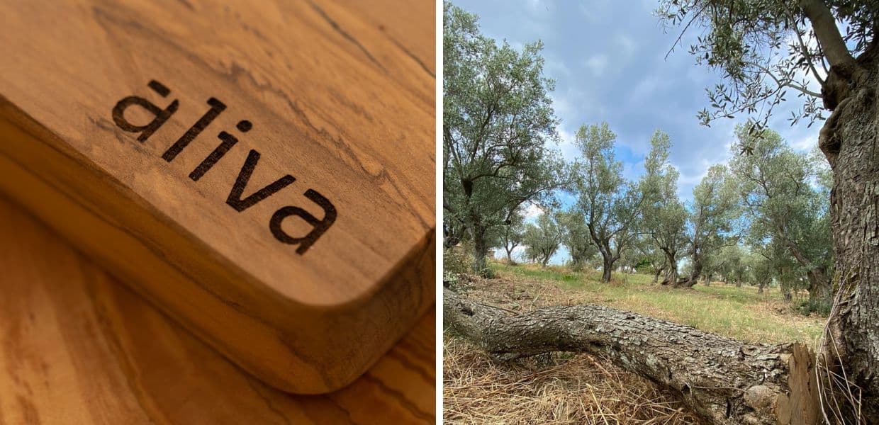 Aliva, il progetto che dal legno di potatura degli ulivi secolari crea complementi d'arredo