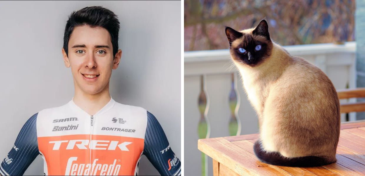 San Marino, il ciclista Antonio Tiberi spara al gatto del Ministro