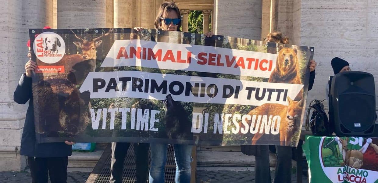 caccia cinghiali roma