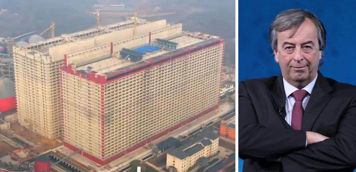 Cina, maiali in allevamento intensivo. Burioni: "Un paradiso per i virus"