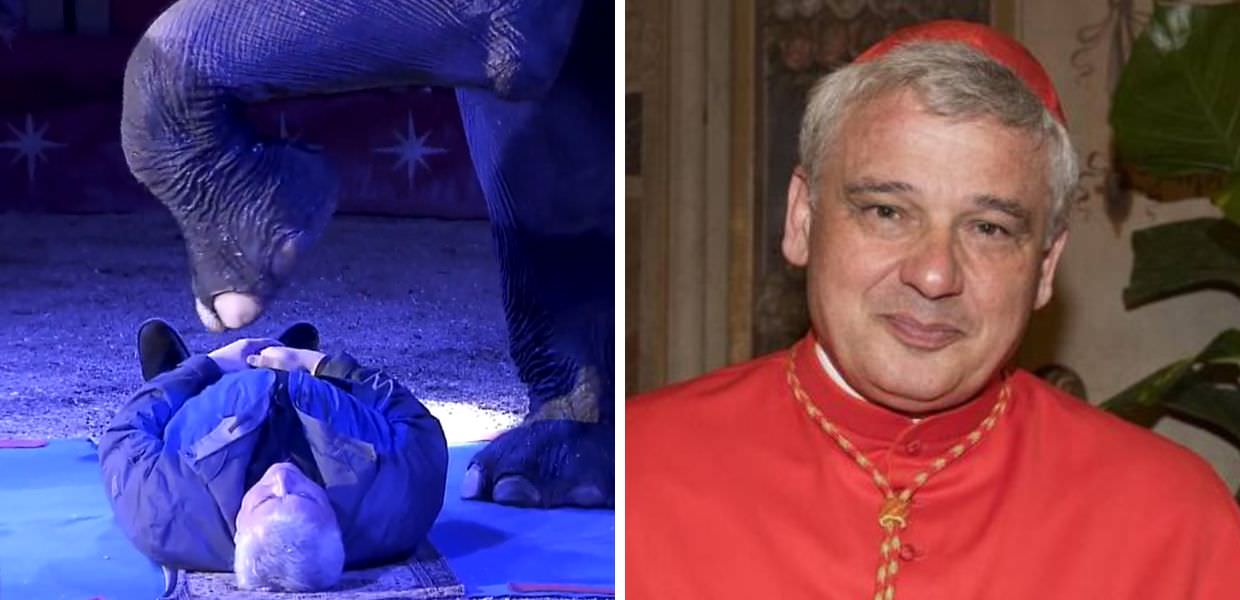 Roma, animalisti contro il cardinale Konrad Krajewski per lo show al circo