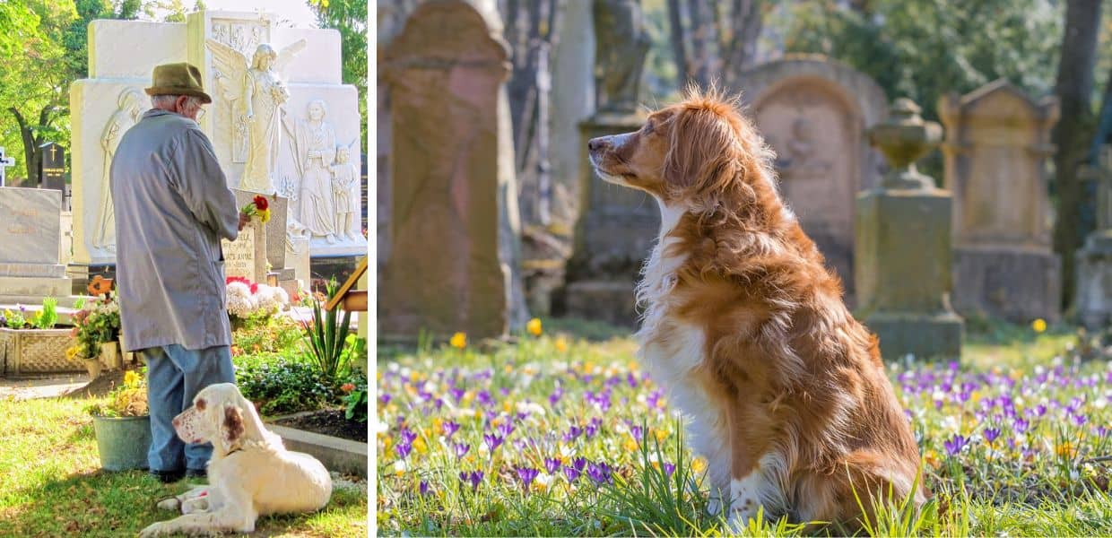 Malgrate, sì agli animali sepolti con i proprietari