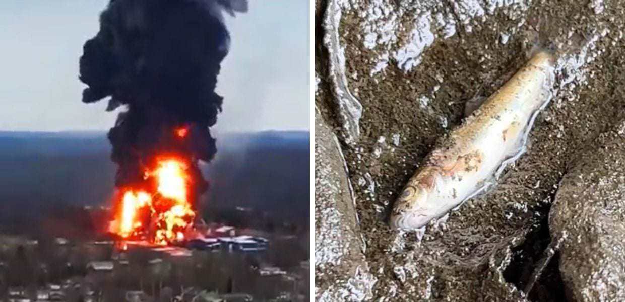 Treno esploso in Ohio, oltre 43.000 animali acquatici morti avvelenati