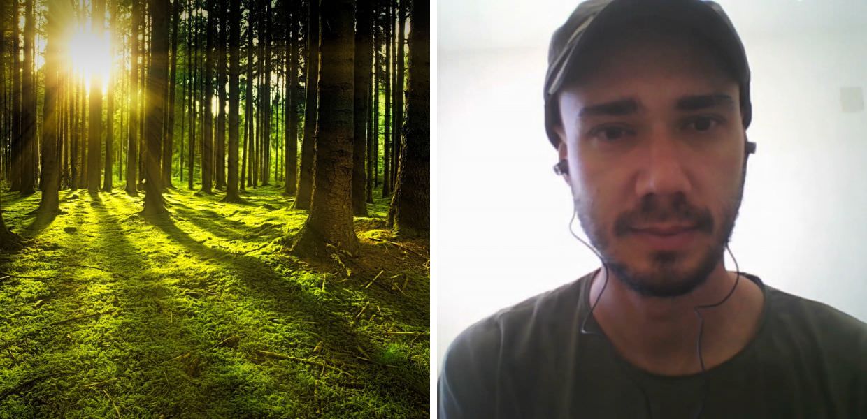 Natura, ecco perché celebrare la Giornata internazionale delle foreste