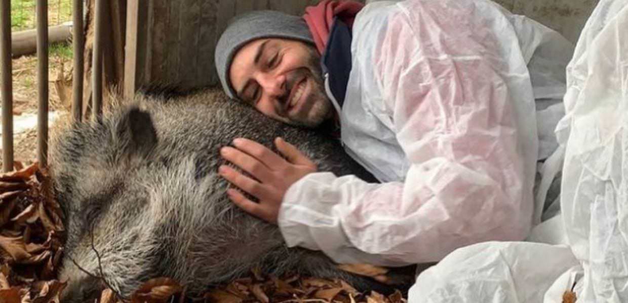 Novara, la maialina Tina è salva: il TAR sospende l'abbattimento