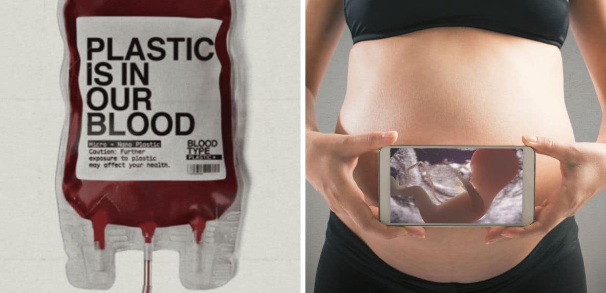 Dai polmoni al sangue fino alla placenta umana. Ecco dove va a finire la plastica
