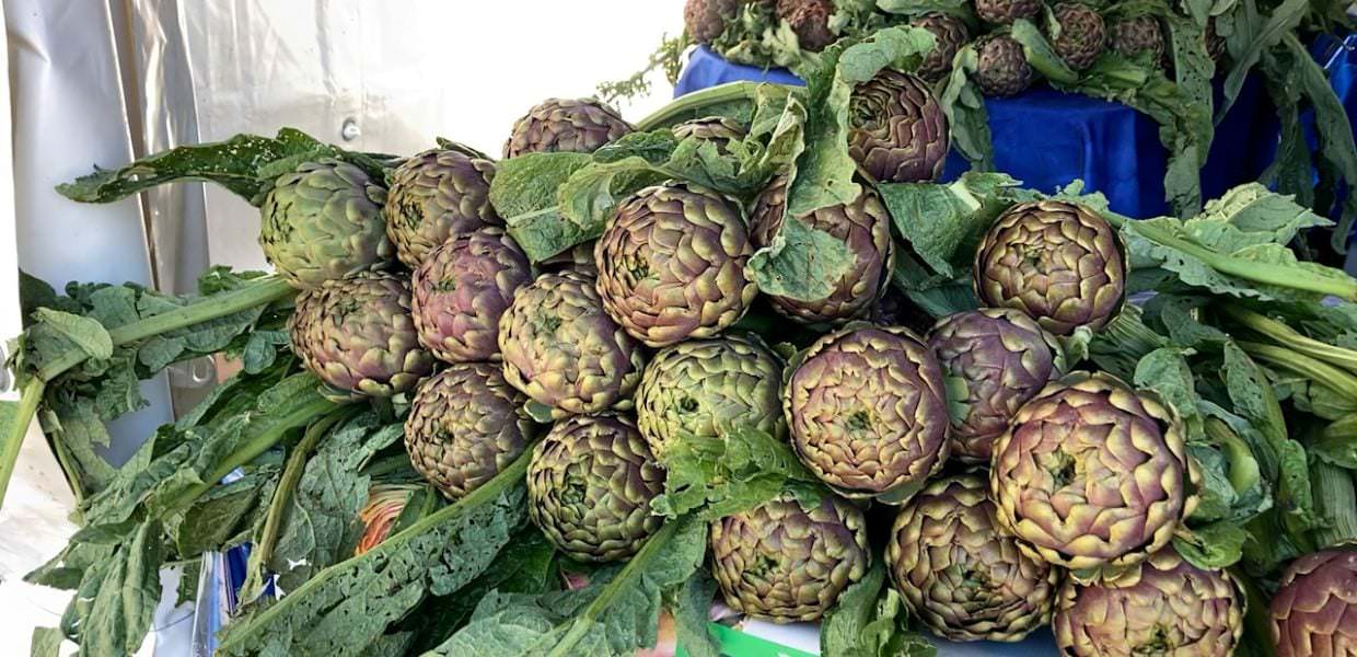 A Ladispoli è partita la 70a Sagra del Carciofo Romanesco