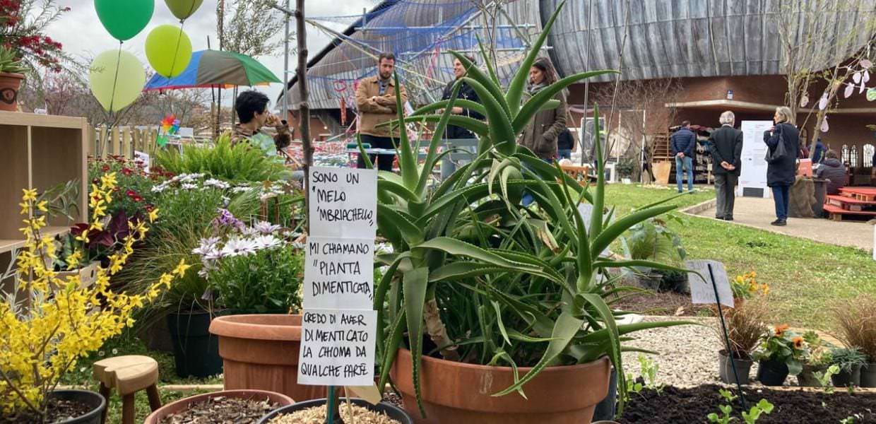 Festival Del Verde E Del Paesaggio, L'importanza Degli Impollinatori