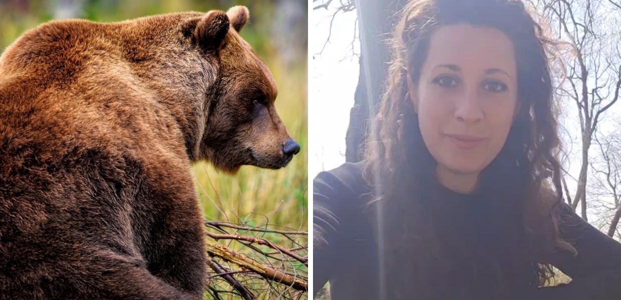 Animali, ecco cosa fare se si incontra un orso