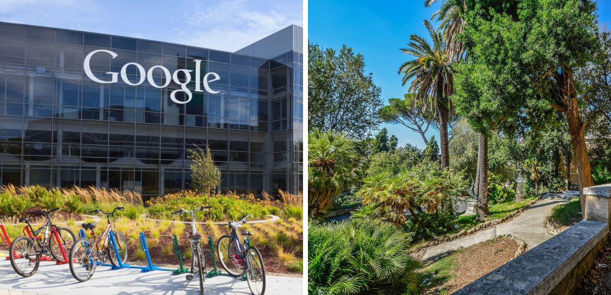 Tree Canopy, ecco il nuovo strumento di Google per città più verdi