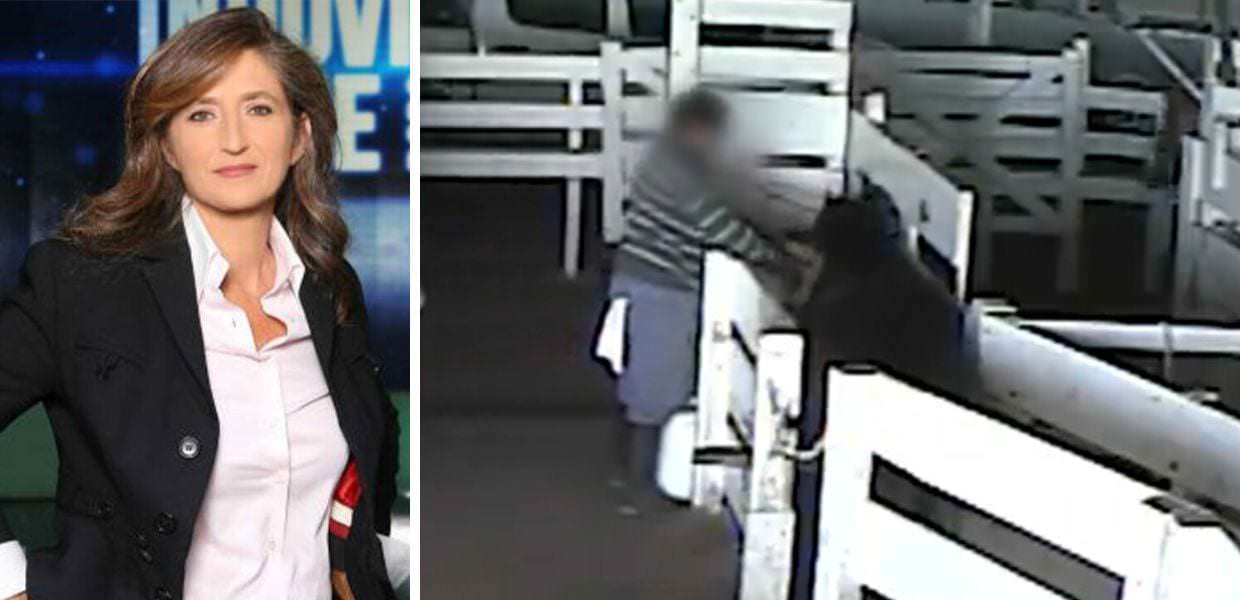 Animali, a "Indovina chi viene a cena" su Rai 3 l'orrore degli allevamenti intensivi