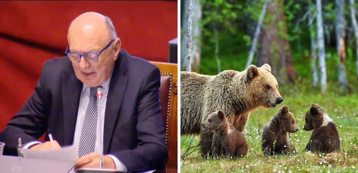 orsi tavolo tecnico oipa lav jj4