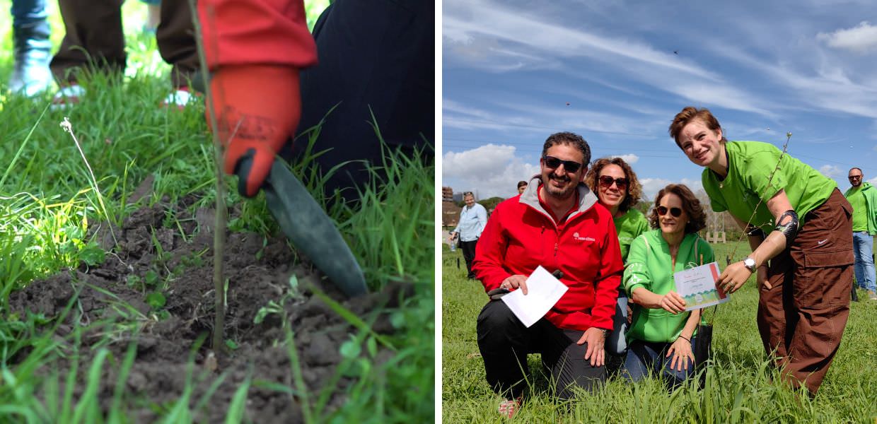 Roma, c'è una nuova foresta al Parco Regionale Urbano di Aguzzano