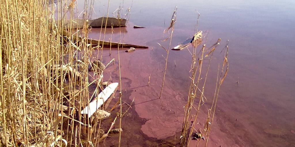 Acqua rossa al Lago di Vico, il ricorso degli ambientalisti per tutelare il sito naturale