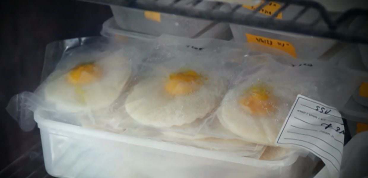 Cibo sintetico, uova vegane come alternativa sostenibile Il servizio di Fuori dal Coro