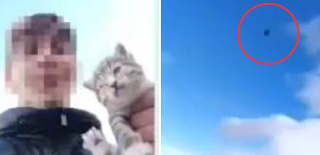 Orrore ad Avellino, ragazzo lancia gatto in burrone per divertimento