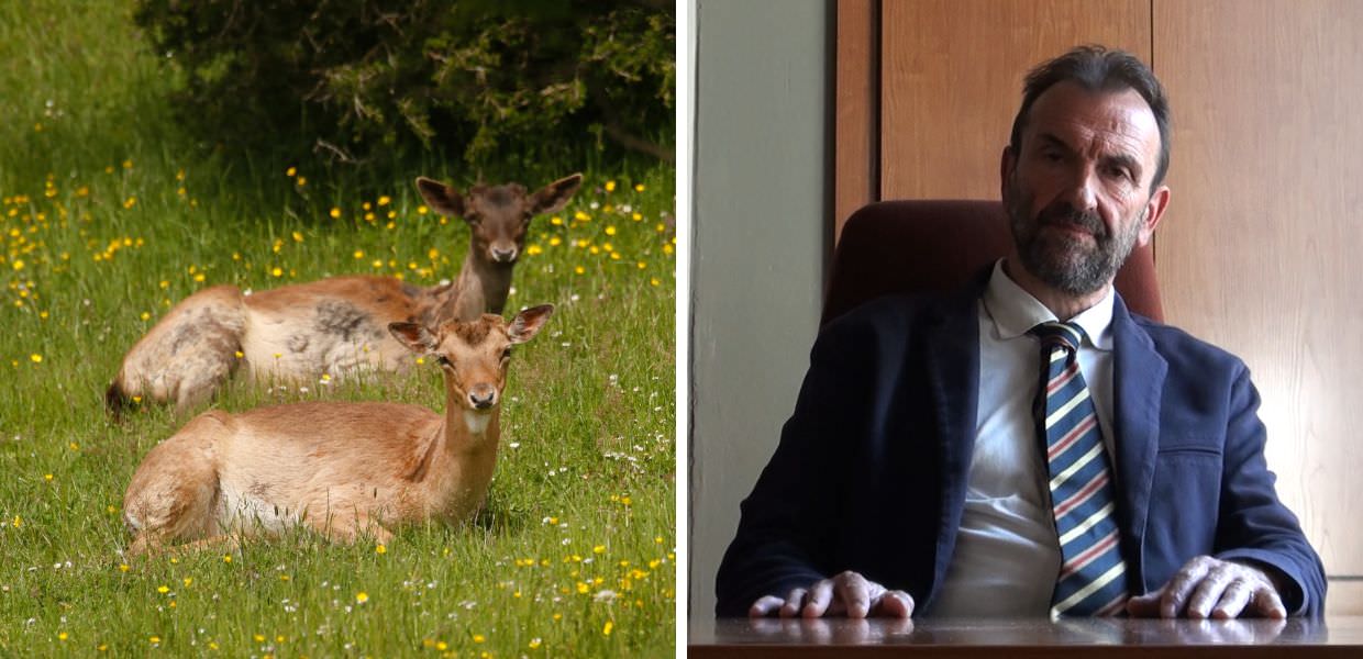 Giornata europea dei parchi, ecco perché visitarli