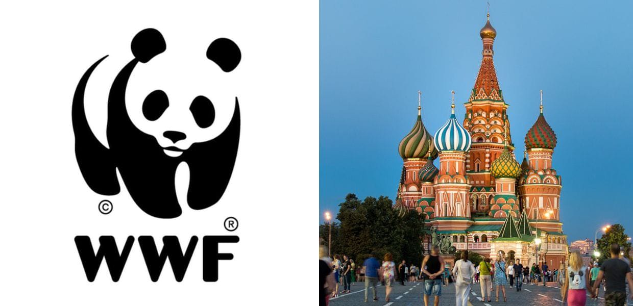 La Russia mette al bando il WWF Minaccia la sicurezza nella sfera economica