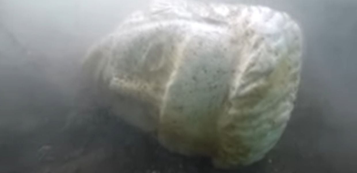 Lago di Nemi, ritrovata testa di una statua, potrebbe appartenere al leggendario tesoro di Caligola