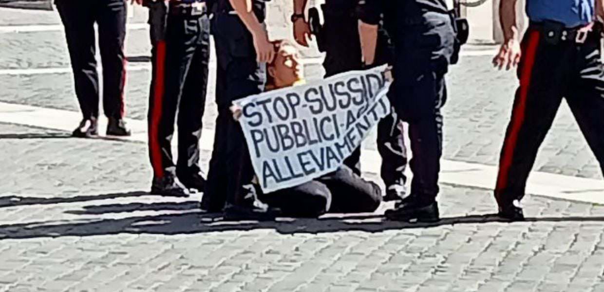 Roma, protesta di "Animal Rebellion" davanti al Parlamento